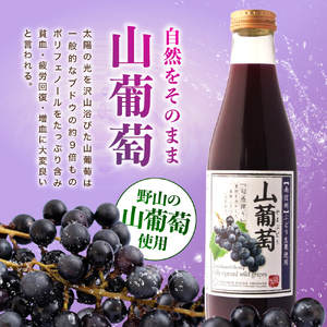 厳選素材 信州産 ジュース 6本 セット | 小池手造り農産加工所