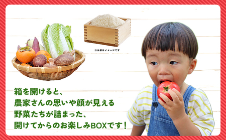 ＜旬の採れたて野菜が詰まったお楽しみBOX（3か月ごと年4回の定期便）＞ 西予市遊子川産 農家さんの顔が見える野菜 定期便 野菜 食べて応援 特産品 遊子川ザ・リコピンズ 愛媛県 西予市【常温】『【1回目】毎月末日までの申込で翌月中旬より順次発送』SYR0009
