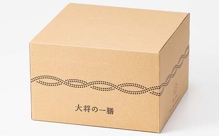 【山形の極み】山形県産米使用！ 大将の一膳 食べ比べ 20個 パックごはん F2Y-6855