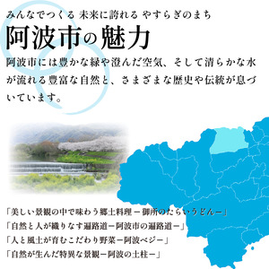 ワイン 飲み比べ 阿波の彩りセット すだちワイン やまももワイン 各720ml 【共通返礼品】