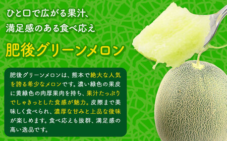 小玉スイカ&肥後グリーンメロン 食べ比べ 各2玉(計4玉 約7kg) 日本フルーツ株式会社 《5月中旬-7月末頃出荷》 熊本県 菊池市 西瓜 メロン 熊本県産