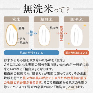 特別栽培米 こしひかり 無洗米 約10kg | 有限会社川久保米穀