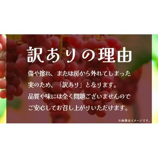【 訳あり 】 クインニーナ 3kg 【2026年9月発送開始】(茨城県共通返礼品：大子町)