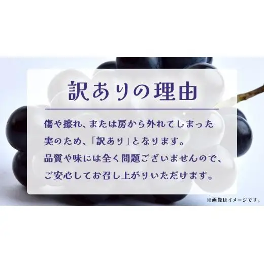 【 訳あり 】ナガノパープル 3kg 【2026年9月上旬発送開始】(茨城県共通返礼品：大子町)