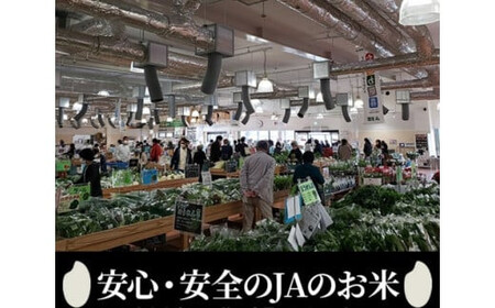 令和7年産 キヌヒカリ 5kg 精米 白米