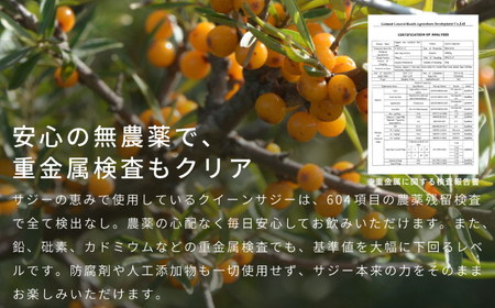 サジーの恵み 900ml【136024】