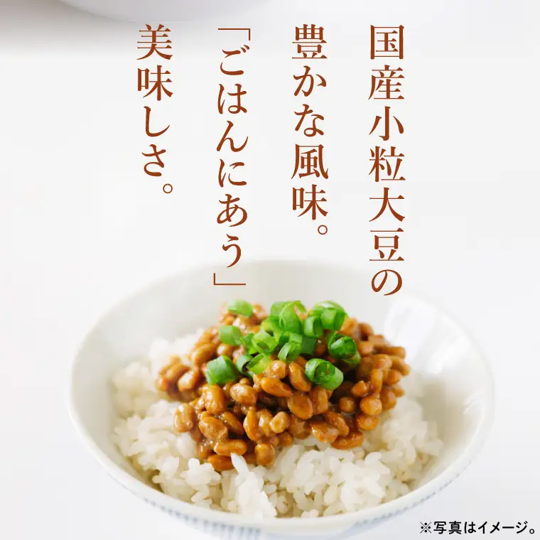【天狗納豆】国産小粒カップ納豆（50ｇ×6個）×2箱（DQ-16）