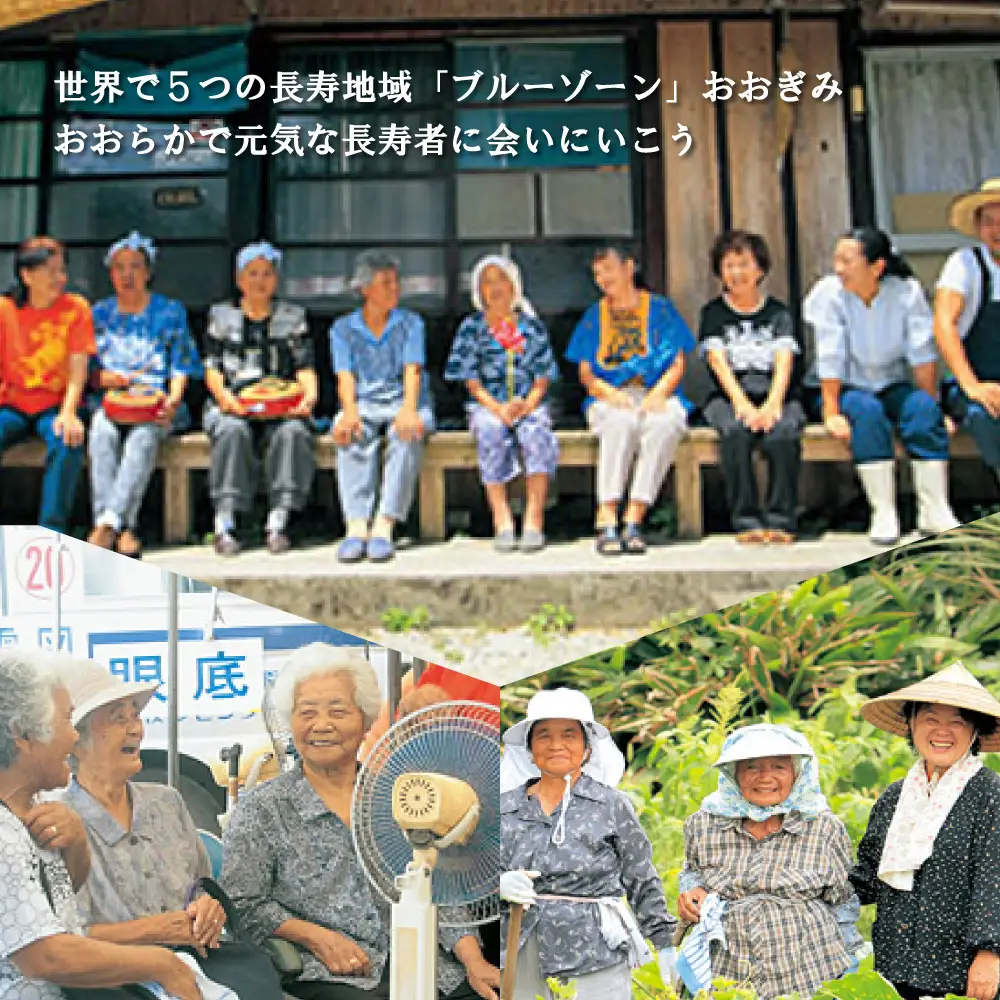 【旅行クーポン】沖縄大宜味村 後から選べる旅行9万円分