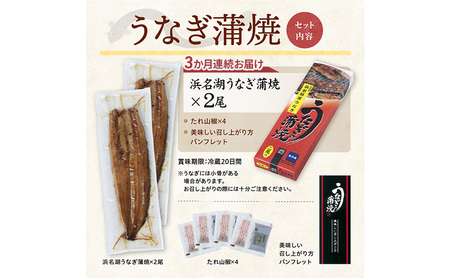 【3か月定期便】浜名湖産うなぎ蒲焼　約140g×2尾入り　計3回 うなぎ ウナギ 鰻 ブランドうなぎ 蒲焼 浜名湖 とろける ふっくら 香ばしい 旨味 肉厚 自家製たれ 二度焼き 静岡 浜松市