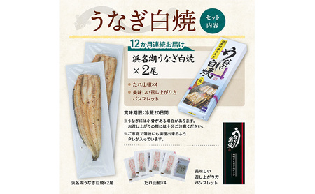 【12か月定期便】浜名湖産 うなぎ白焼　約140g×2尾入り　計12回 うなぎ ウナギ 鰻 ブランドうなぎ 白焼 浜名湖 とろける ふっくら 香ばしい 旨味 肉厚 静岡 浜松市