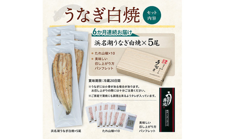 【6か月定期便】浜名湖産 うなぎ白焼　約140g×5尾入り　計6回 うなぎ ウナギ 鰻 ブランドうなぎ 白焼 浜名湖 とろける ふっくら 香ばしい 旨味 肉厚 静岡 浜松市