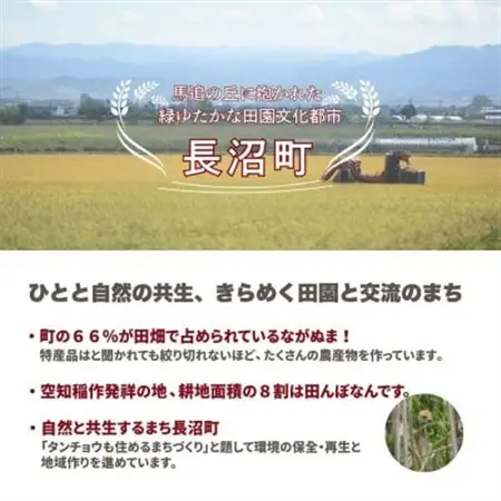 【令和7年産・無洗米・真空パック】長沼町産ゆめぴりか 2kg×2袋【1711209】