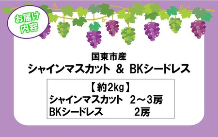 テレビで紹介されました！【先行予約】【令和8年発送】農家直送！ 新鮮！ 朝づみぶどう シャインマスカット & BKシードレス 種なし 約2kg フルーツ 果物 贈答 大分県産 採れたて_2658R-3