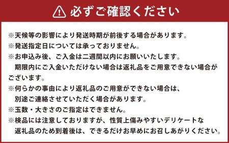 【先行予約】西見柿農園 富有柿 6玉から8玉 (約2kg) 【2026年11月上旬-12月上旬発送予定】 柿 かき カキ 果物 くだもの フルーツ 果実 ジューシー お取り寄せ 福岡県 うきは市