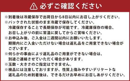 【先行予約】西見柿農園 冷蔵富有柿 9玉から11玉 (約3kg) 【2026年12月下旬-2027年1月下旬発送予定】 柿 かき カキ 果物 くだもの フルーツ 果実 ジューシー お取り寄せ 福岡県 うきは市