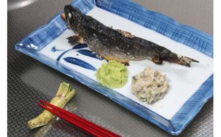 【生産者直送】根わさび 真妻 200g (3～4 本)   と たっそべ漬け（粕漬）のセット 山葵用おろし金付【葵食品】 生産者直送 生 新鮮 岩手県 遠野市 特産 /刺身 お肉 ステーキ 薬味 わさび丼 わさび漬