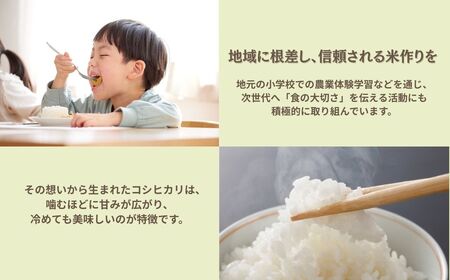 令和7年産 コシヒカリ 玄米 30kg｜米 コメ お米 げんまい 石川県産 小松市産 【有限会社嵐農産】