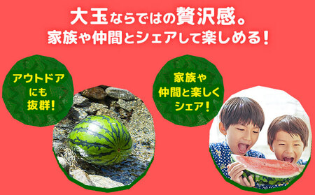 【先行予約】大玉すいか 2玉約10kg 日本フルーツ株式会社《4月下旬-7月下旬頃出荷》熊本県 菊池市 すいか スイカ 大玉 熊本県産