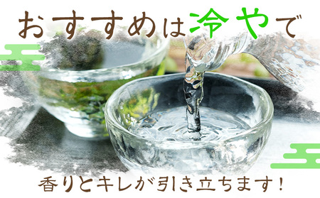 腰古井 大吟醸 720ml 1本 有限会社 滝口商店《30日以内に出荷予定(土日祝除く)》千葉県 勝浦市 日本酒 酒 大吟醸