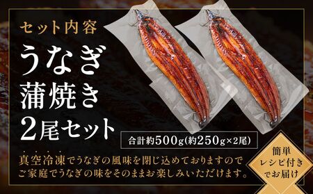 うなぎ蒲焼き 2尾セット(約250g×2尾セット) _HA1964 | うなぎ 鰻