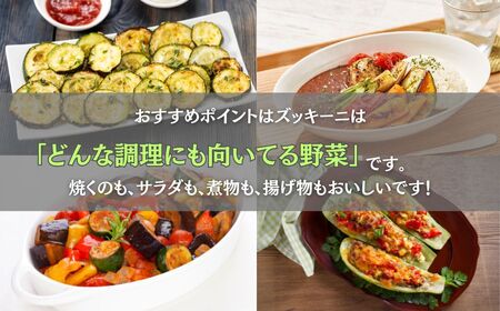 ズッキーニ 約2kg (10本前後)  | 石川県 小松市 JAあぐり