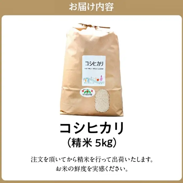 コシヒカリ 5kg 特別栽培米 精米 / 002309A