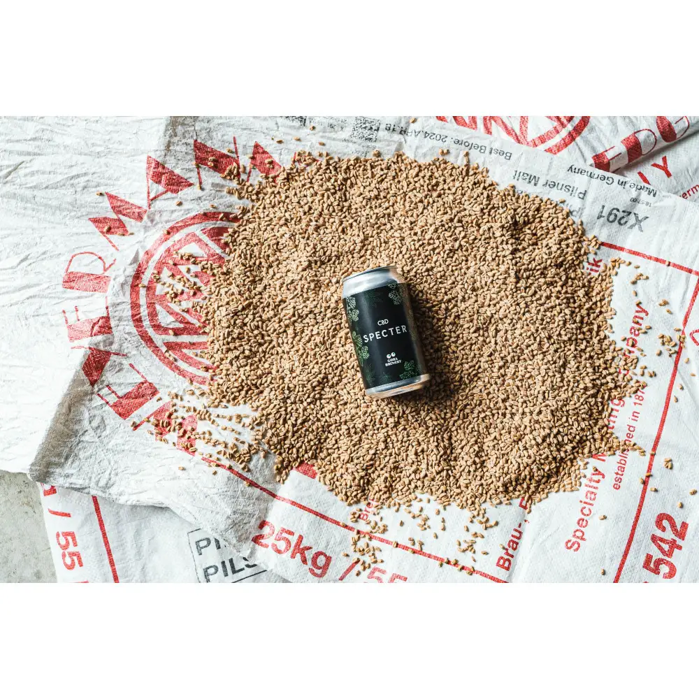 International Beer Cup金賞受賞 『GORA BREWERY』 人気銘柄3種缶6本セット