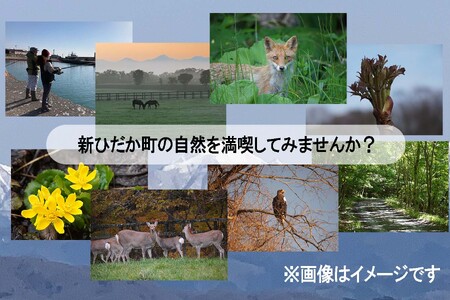 北海道 新ひだか町 体験 ツアー クーポン 10,000円分 日高 三石 釣り 星空 観賞 日高山脈 眺望ツアー 馬 サラブレッド 牧場 見学