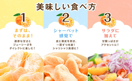 不知火 秀品・優品混合/サイズ混合 10kg 中畑農園 しらぬい 柑橘