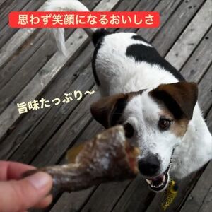 0012-111-01 WILD KITCHEN 犬猫用ニジマスジャーキー ジャンボパック (ぶつ切り100g)