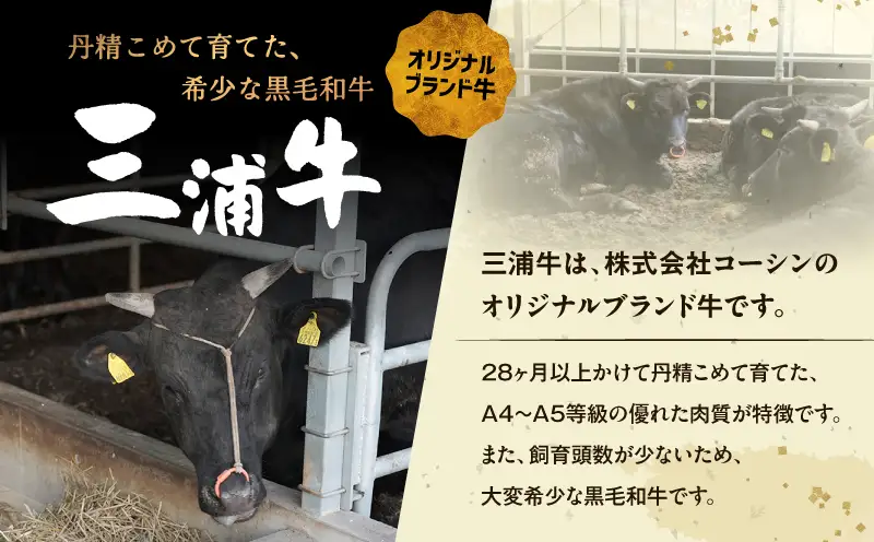 三浦牛サーロイン ・ 三浦牛切り落とし 詰め合わせセット M082-004 肉 牛肉 冷凍