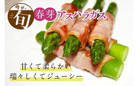 【朝採り直送】春芽アスパラガス 1kg (L-Mサイズ) 福岡県産 2027年