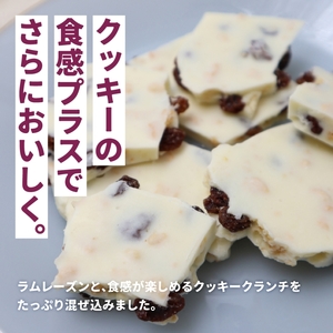 割れチョコ 妖艶なラムレーズン450g【fktr0006】