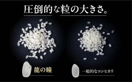 【2025年産米】【定期便】3kg×3回 飛騨産・龍の瞳（いのちの壱）【14-73】