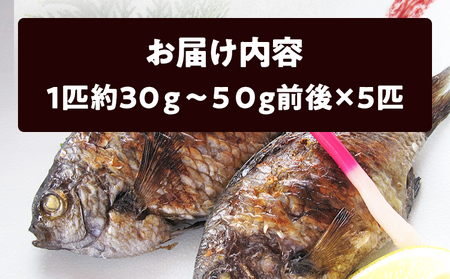 福岡郷土料理 あぶってかも 5匹 スズメダイ 炙り 焼き魚 魚介類 惣菜 加工品 おかず おつまみ 冷凍 魚 福岡 九州
