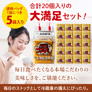 【天狗納豆】国産小粒パック納豆（50ｇ×5個）×4袋（DQ-21）
