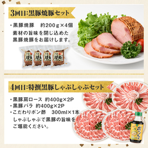 【D02006】＜定期便・全5回＞かごしま黒豚まんぞく定期便A (月1回×5ヶ月) 鹿児島 九州産 国産 肉 豚肉 黒豚 焼豚 肩ロース ロース モモ スライス 叉焼 餃子 ギョーザ ぎょうざ しゃぶしゃぶ とんかつ 加工品 セット 【和田養豚】