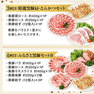 【D02007】＜定期便・全5回＞かごしま黒豚まんぞく定期便B (月1回×5ヶ月) 鹿児島 九州産 国産 肉 豚肉 黒豚 焼豚 肩ロース ロース モモ スライス 叉焼 餃子 ギョーザ ぎょうざ しゃぶしゃぶ とんかつ 加工品 セット 【和田養豚】
