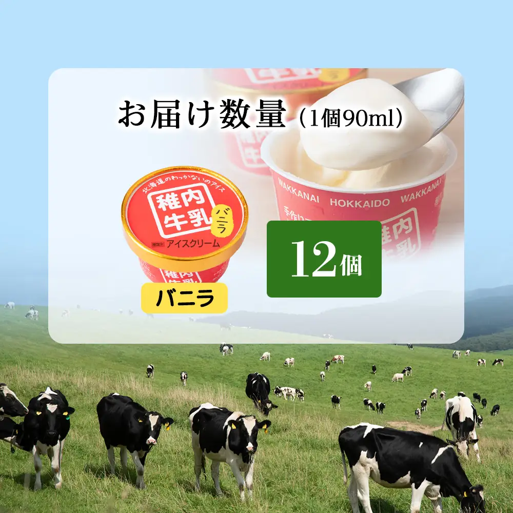 稚内牛乳 アイスクリーム バニラ　12個セット（各90ml）