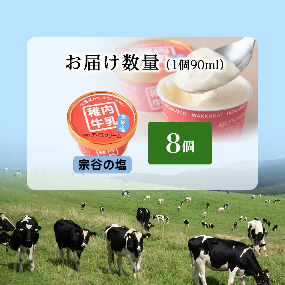 稚内牛乳 アイスクリーム 宗谷の塩　8個セット（各90ml）