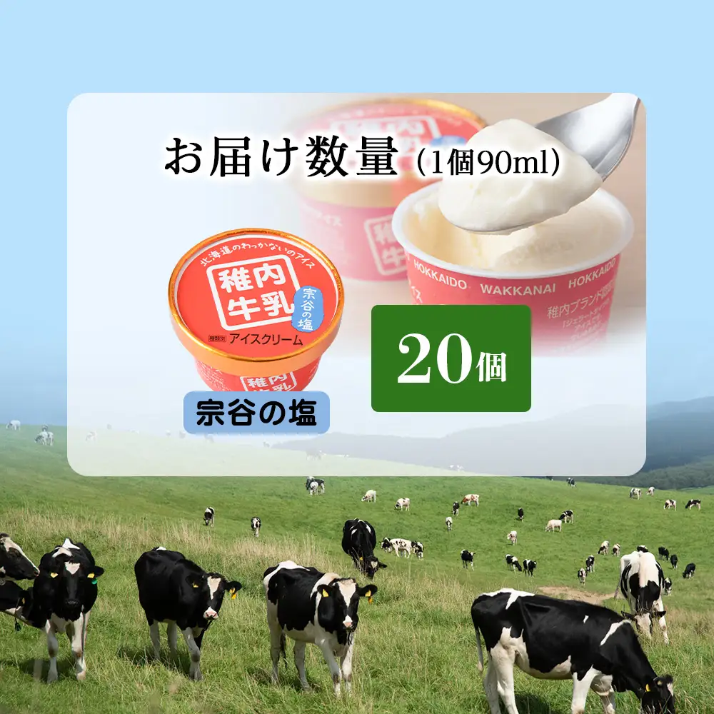 稚内牛乳 アイスクリーム 宗谷の塩　20個セット（各90ml）