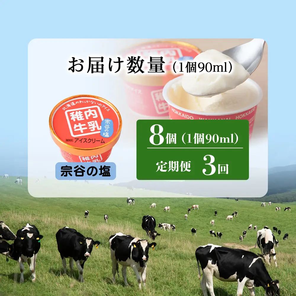 【定期便3ヶ月】稚内牛乳 アイスクリーム 宗谷の塩　8個セット（各90ml）