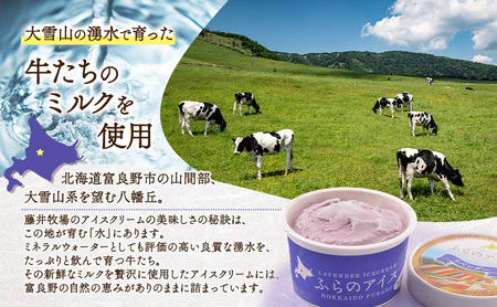 北海道富良野市 ふらの アイスクリーム 5個 5種×1個 (ディームファクトリー) アイス デザート 北海道 富良野市 道産 直送 ふらの 贈り物 ギフト