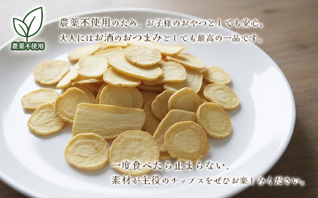W-5702　パースニップチップス (25g×1袋)