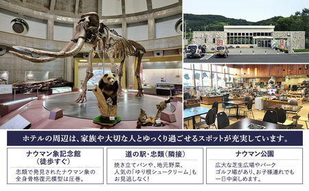 十勝ナウマン温泉 ホテルアルコ 素泊まりペア宿泊券 2名様分【 北海道 幕別町 十勝 ナウマン温泉 ホテルアルコ 宿泊券 2名 ペア 素泊まり 温泉 旅行 観光 ギフト 】