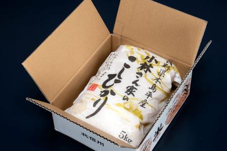 木島平産 小林さん家のこしひかり 約5kg | 米 こしひかり コシヒカリ 定番 品種 特別栽培 寒暖差 木島平村 長野県 信州