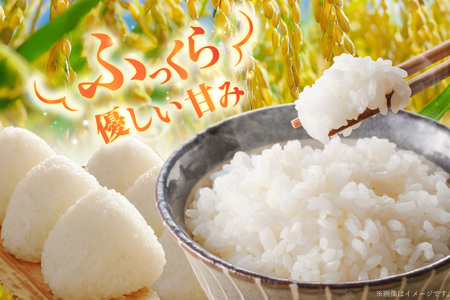 米 ゆきさやか 5キロ [笹田ファーム 北海道 剣淵町 14656370]