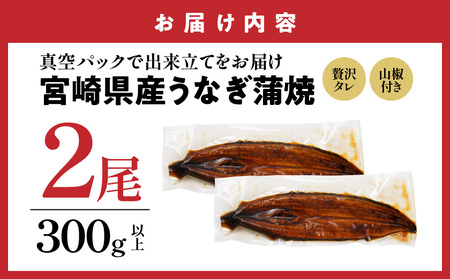 【丑の日】宮崎県育ちのうなぎ蒲焼2尾300g以上≪山椒・たれ付≫≪7月20日～25日お届け≫_13-M301-UG_(都城市) うなぎ蒲焼(有頭) 宮崎県産 真空 山椒・たれ付  土用の丑の日