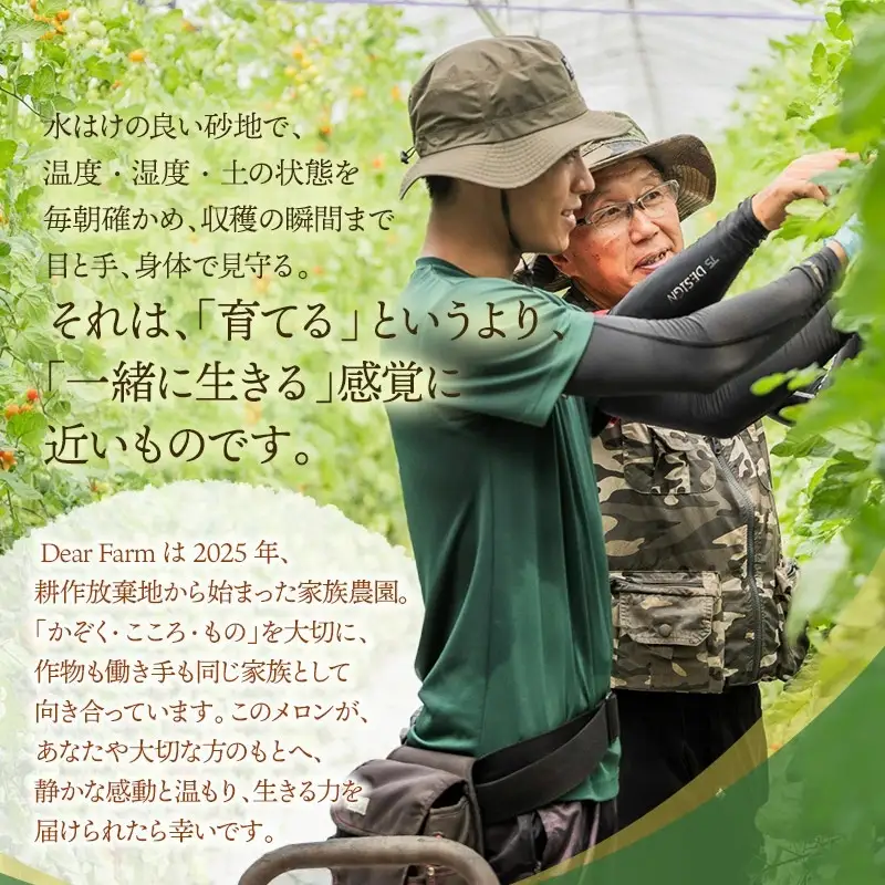 【令和8年産先行予約】　DearFarm砂丘からの贈物　＜珠玉アンデスメロン＞　約5kg（3～5玉）山形県鶴岡市　K-836　| メロン めろん アンデスメロン 5キロ 山形 鶴岡 庄内 庄内産 東北 フルーツ 果物 くだもの 夏 旬 人気 おすすめ 美味しい お取り寄せ 返礼品 