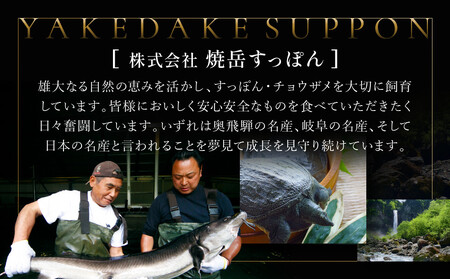 湯けむり美人すっぽんスープ　2人前｜和風惣菜 食品 人気 コラーゲン 栄養 伝統 日本料理 煮込み 温まる 冬季 スープ料理 だし 焼岳すっぽん HE004
